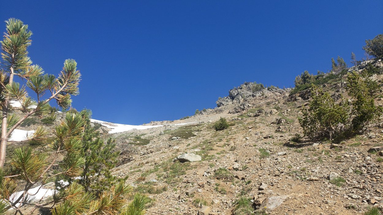 Abernathy peak ridge line