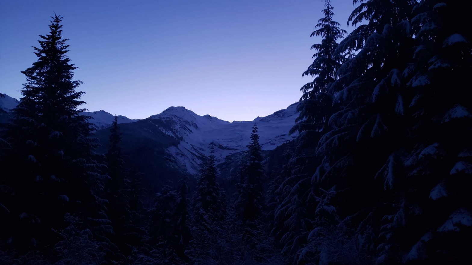 first view along the road to heliotrope ridge trail head