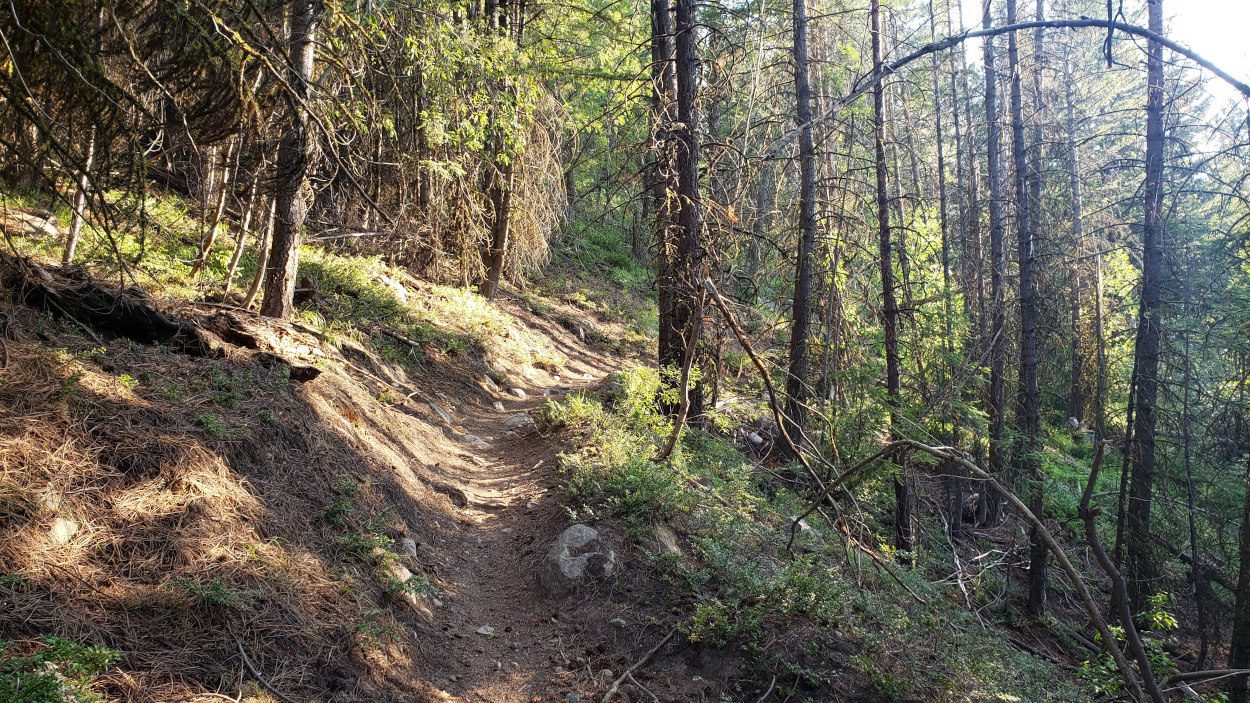 martin creek trail
