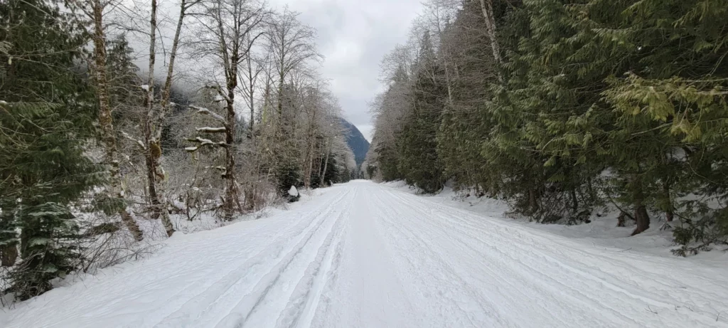 mountain loop highway in the winter