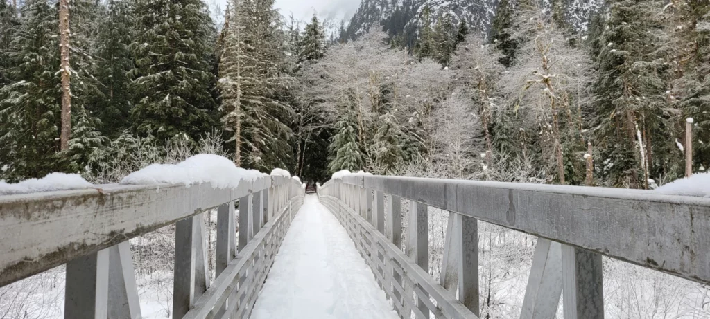 bridge over the north fork sauk river