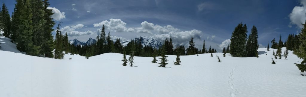 panorama from near the summit of mount dickerman