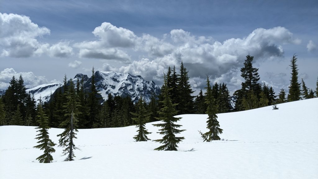 view out from the winter trail up mount dickerman