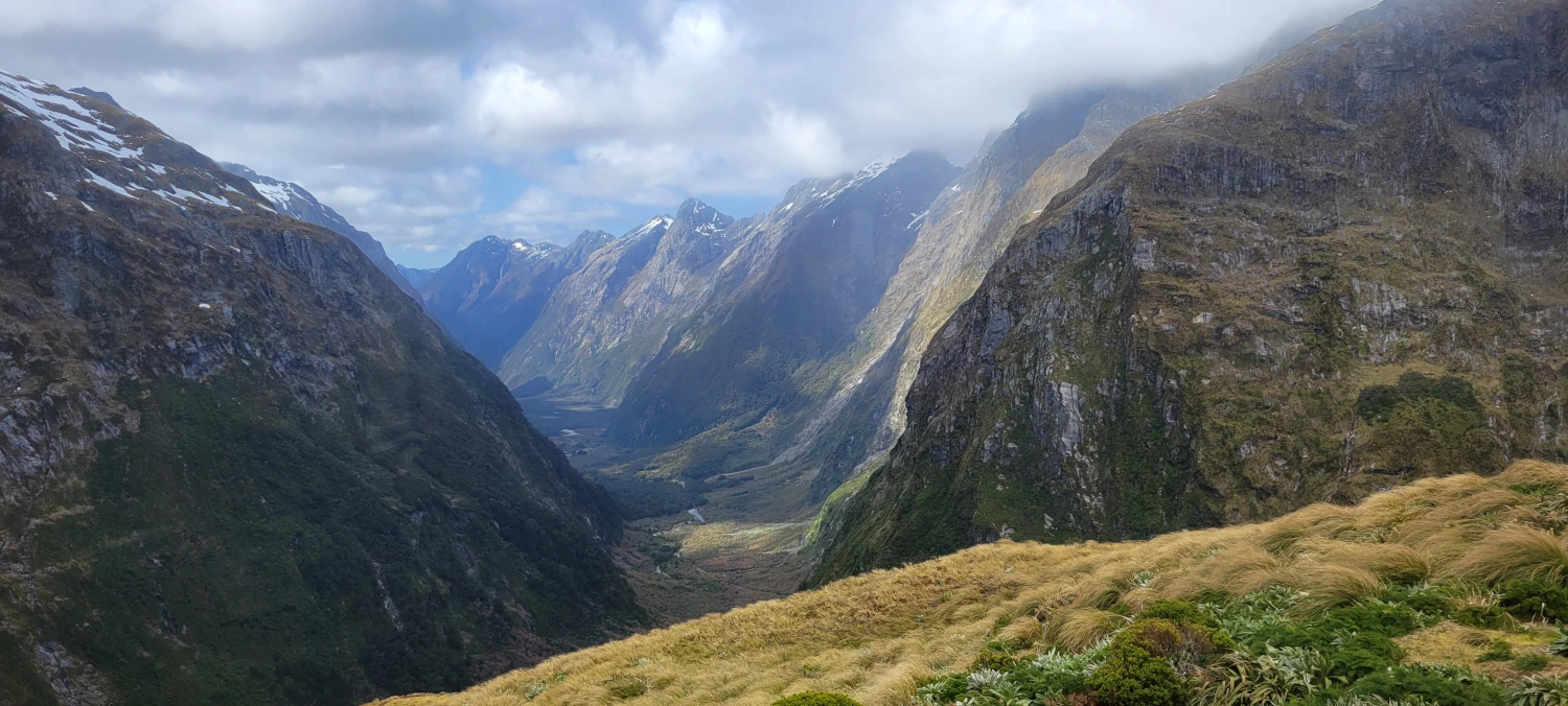 Read more about the article Milford Track