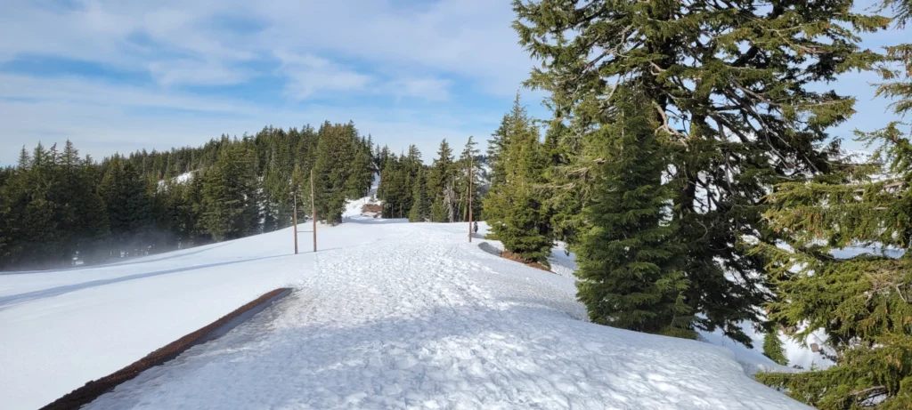 snowshoe trail heading away from crater lake visitor center