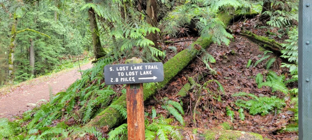 south lost lake trail junction