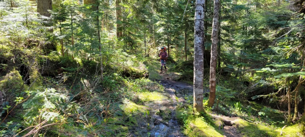 trailcutter walking boulder ridge trail