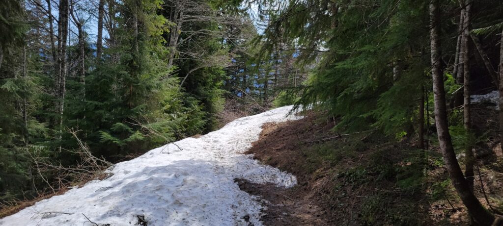 first section of snow along forest road