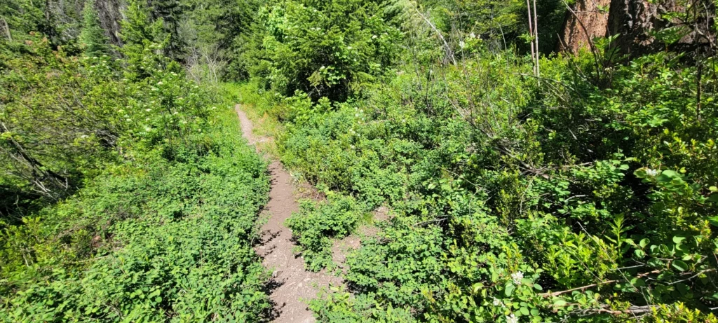 beauty creek trail cut off
