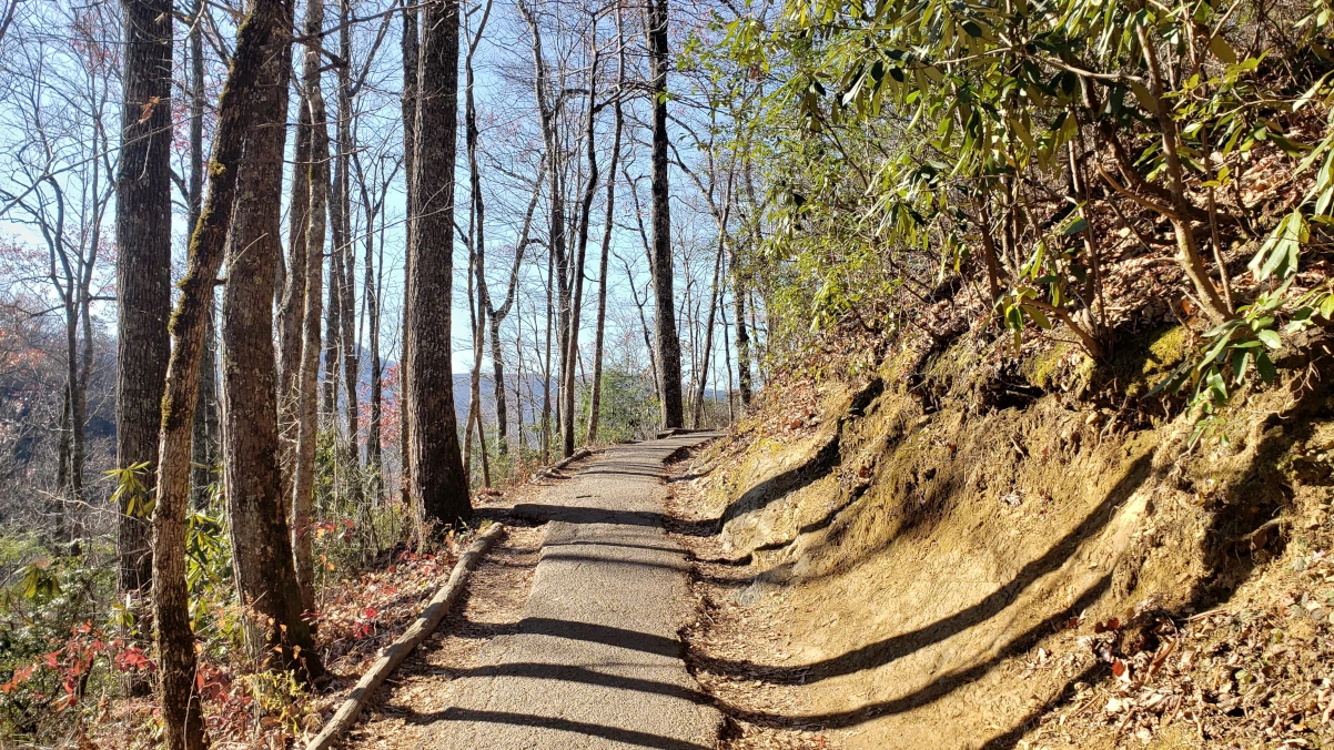 hiking path to laurel falls
