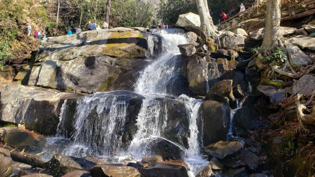 crowd above the lower part of laurel falls