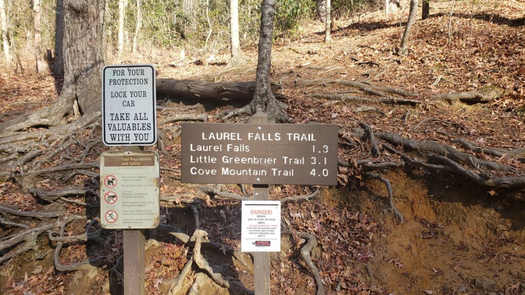 laurel falls trail head