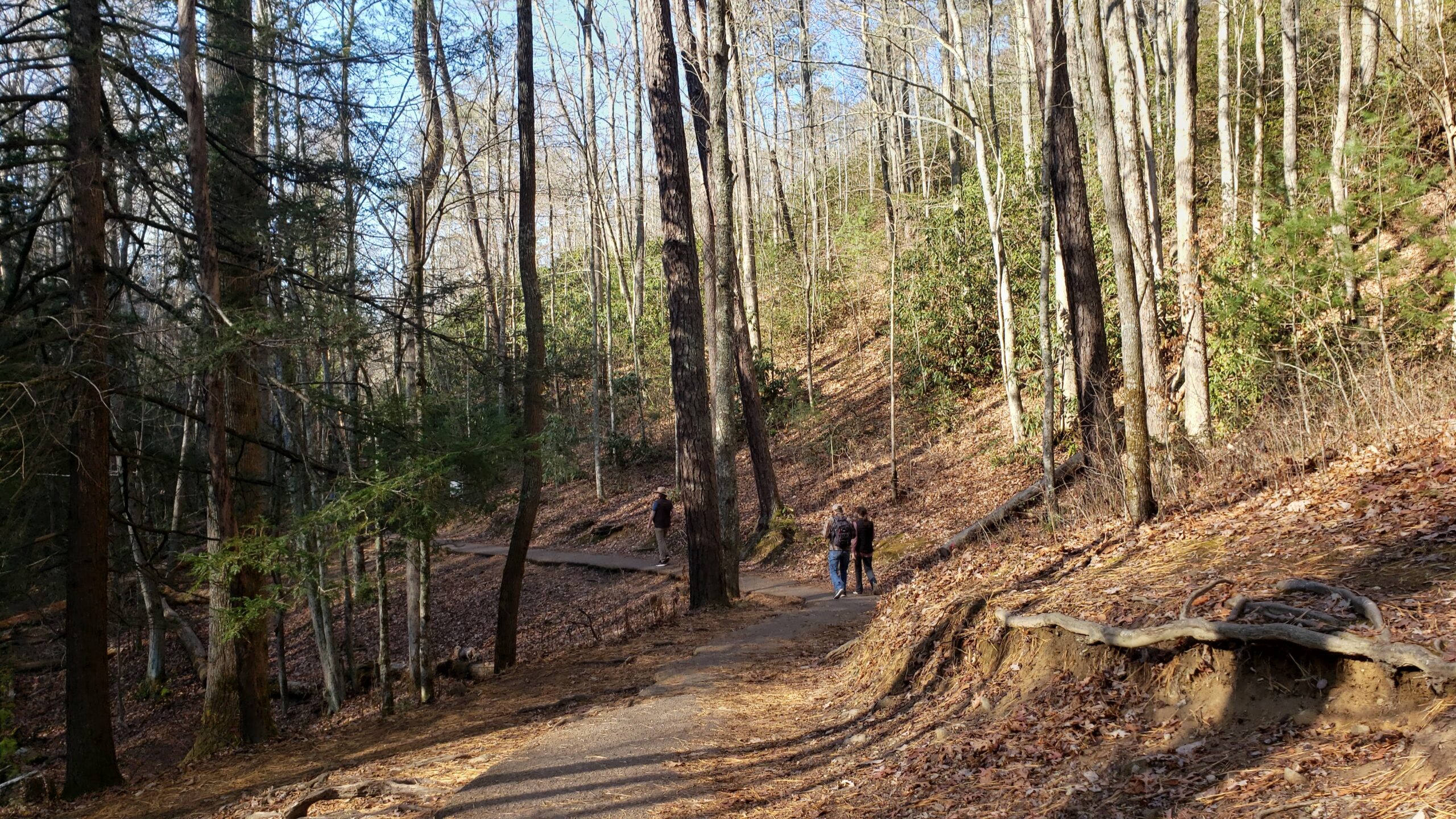laurel falls trail