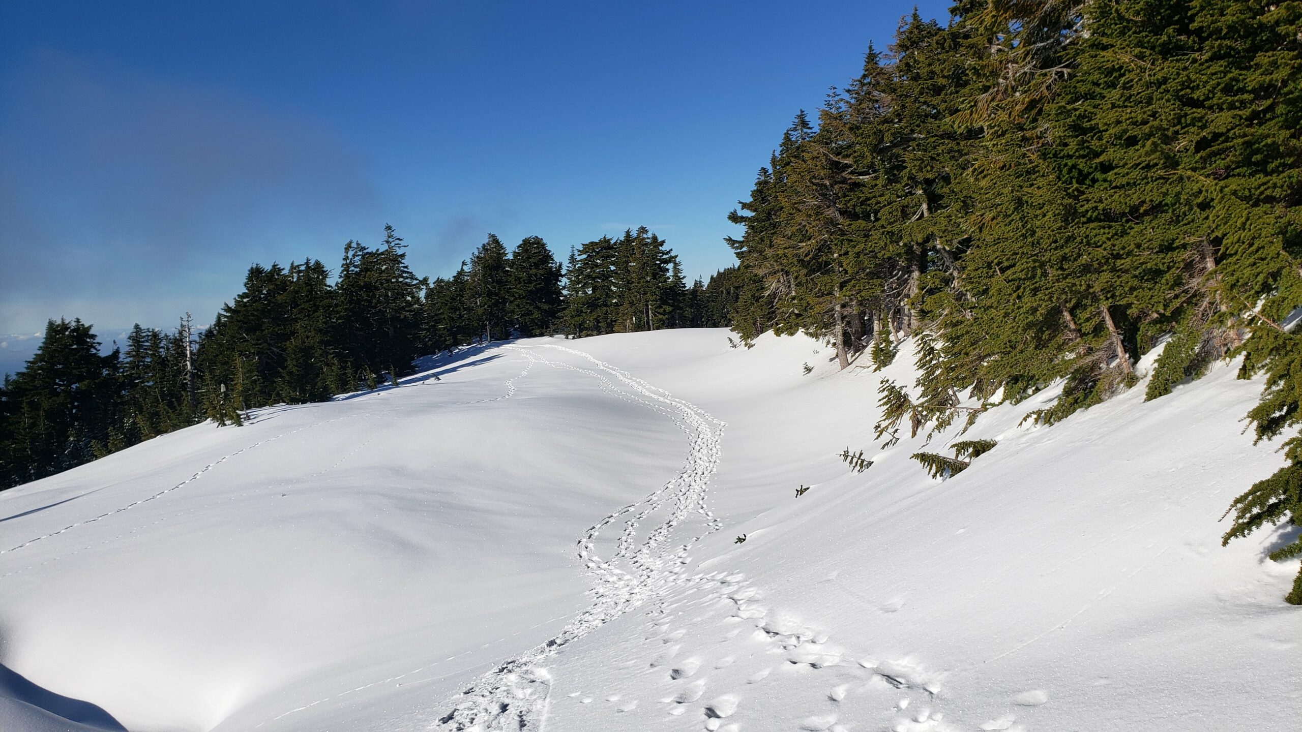 ascending mount persis in the snow