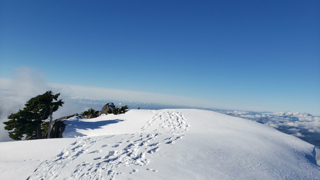 footsteps along the summit ridge