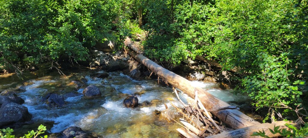 buck creek log crossing