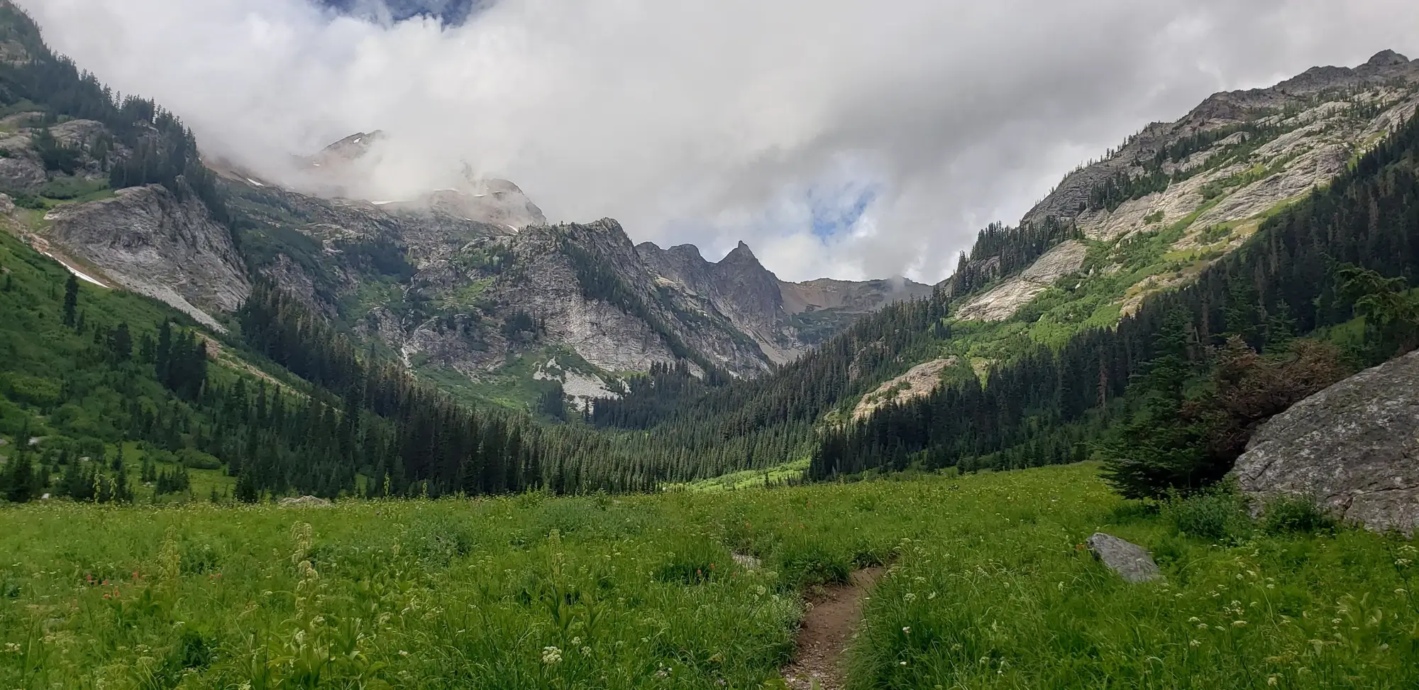 Spider meadows and phelps creek