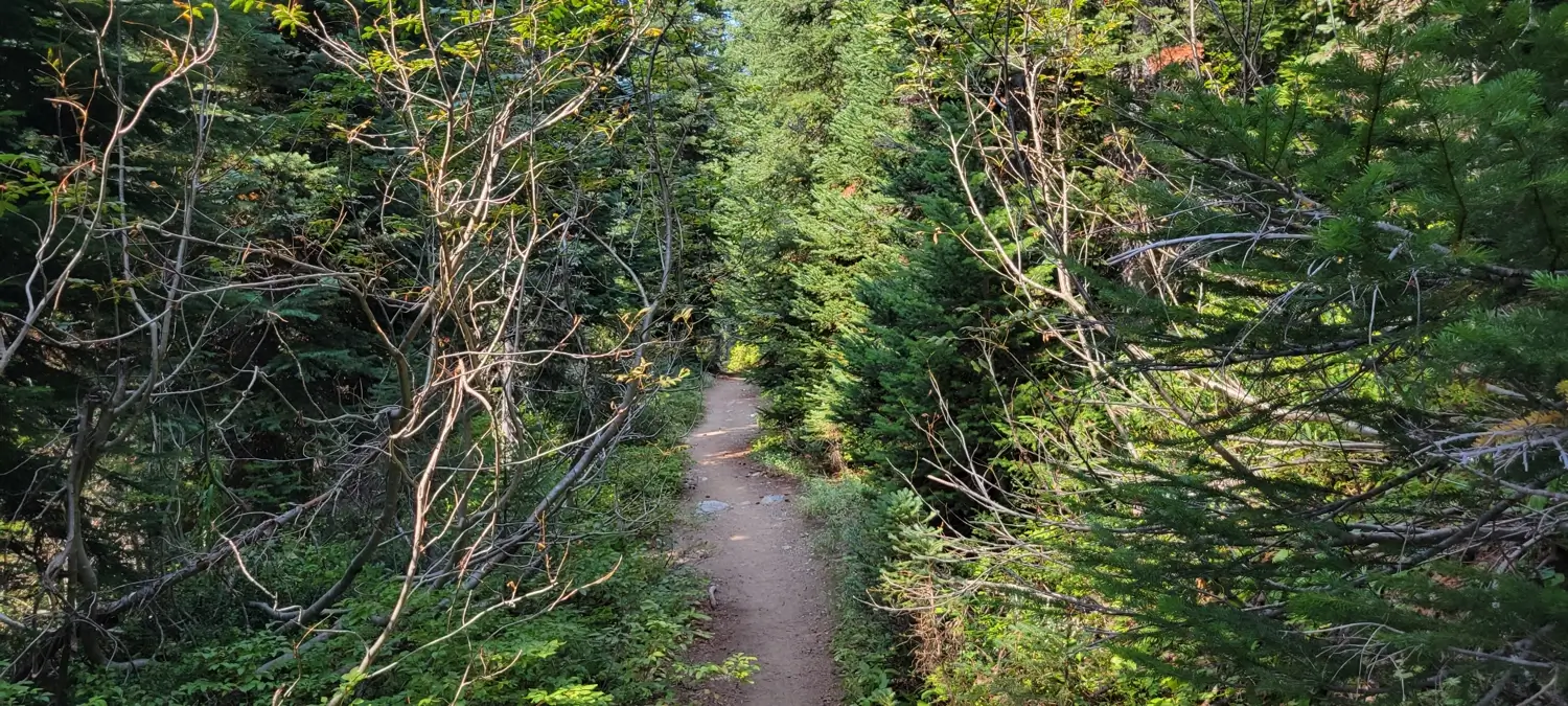 phelps creek trail