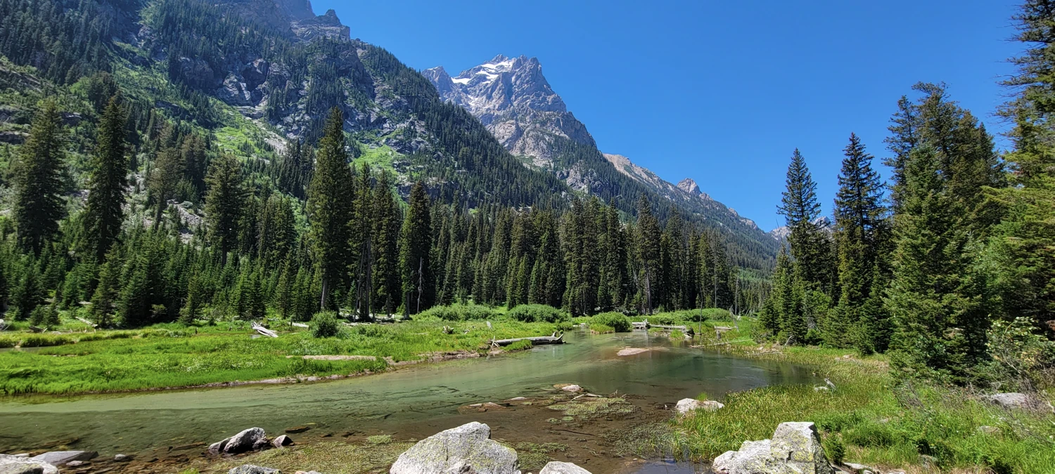 view from cascade canyon
